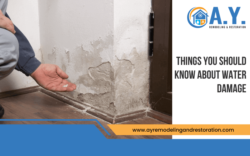Things You Should Know About Water Damage